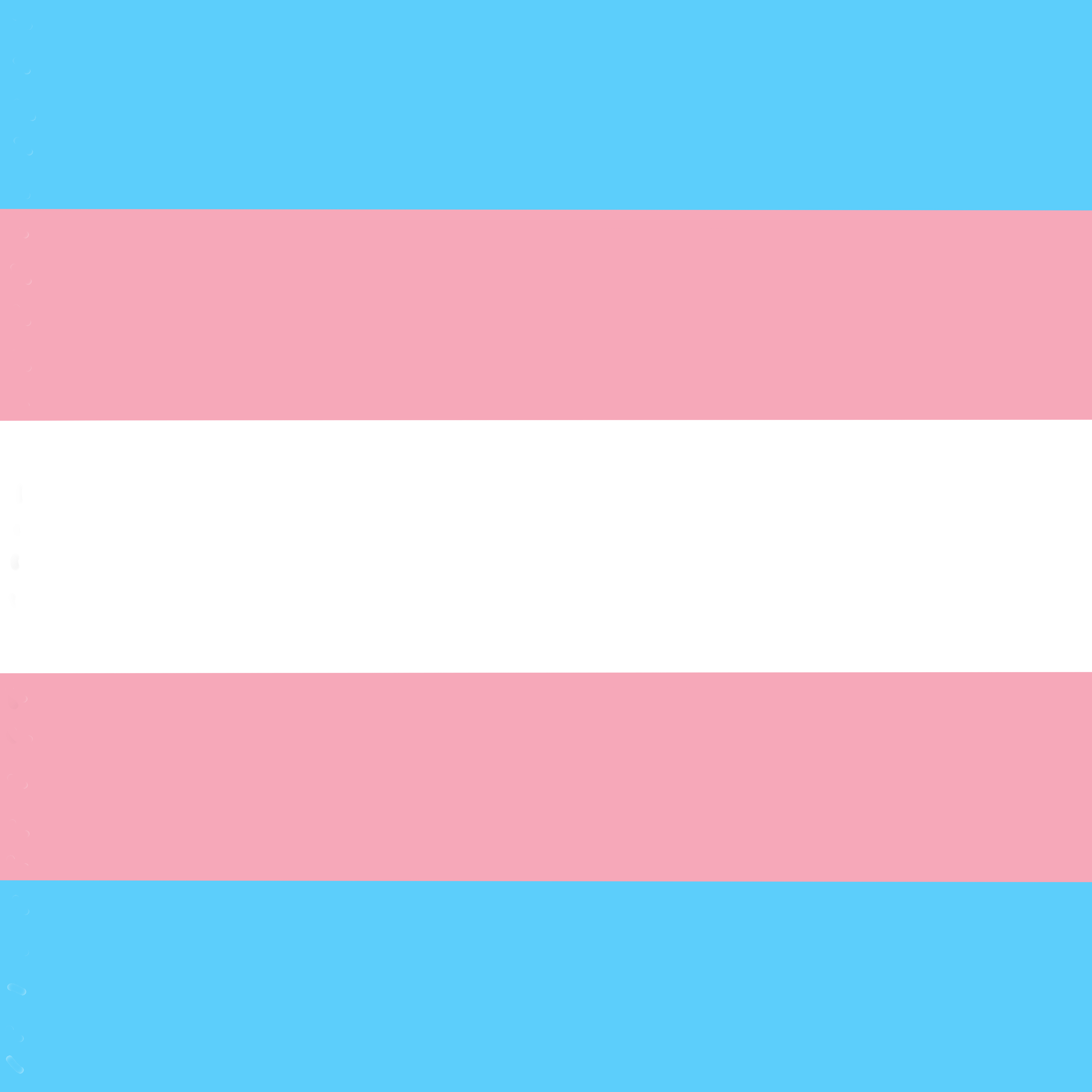 Drapeau transgenre: De haut en bas: bleu ciel, rose, blanc, rose, bleu ciel